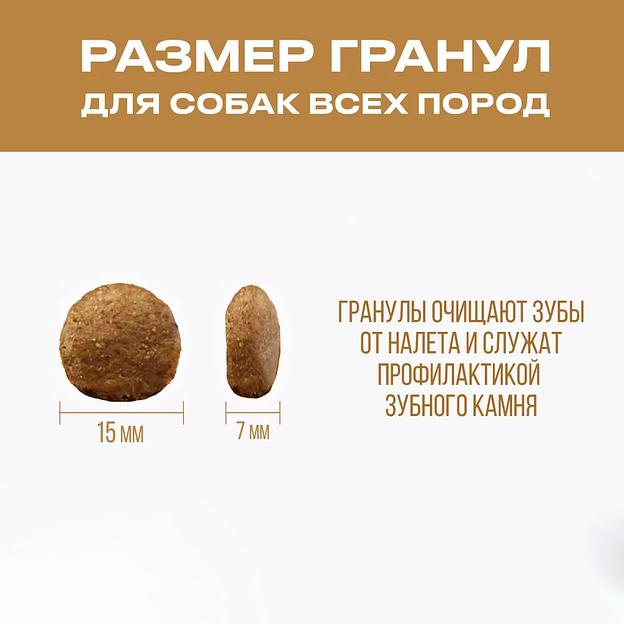 Корм для собак сухой «Ушастый пилот» с рыбой фото 3