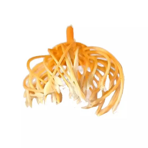 Добавка тычинка густая жёлтая с белыми кончиками с ножкой 5,5см 538шт/кг фото 3