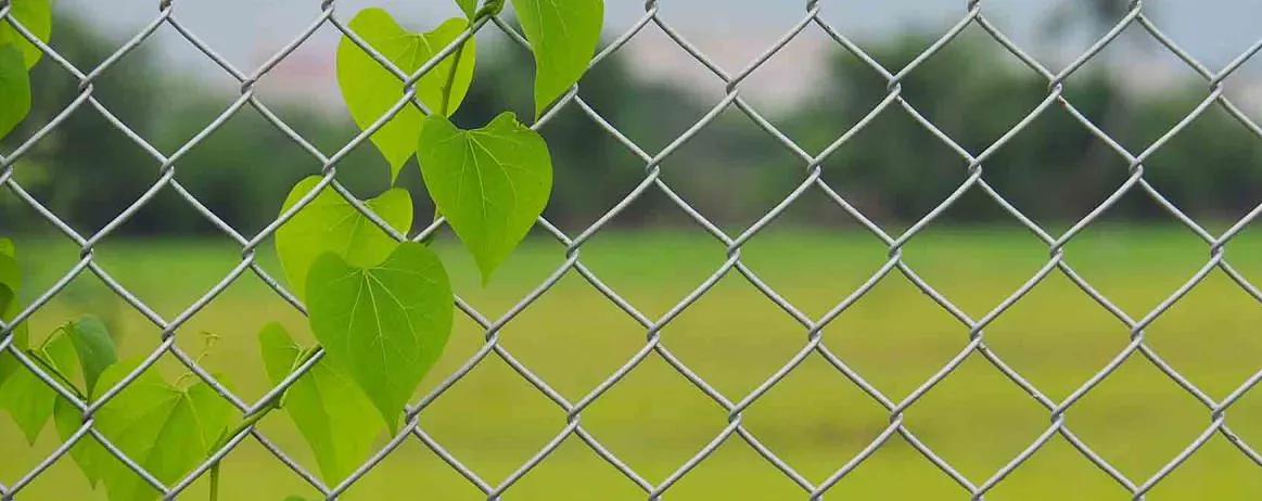 Сетка-рабица 55×55 1.5×10 м д 1.5 оцинкованная опт фото 1