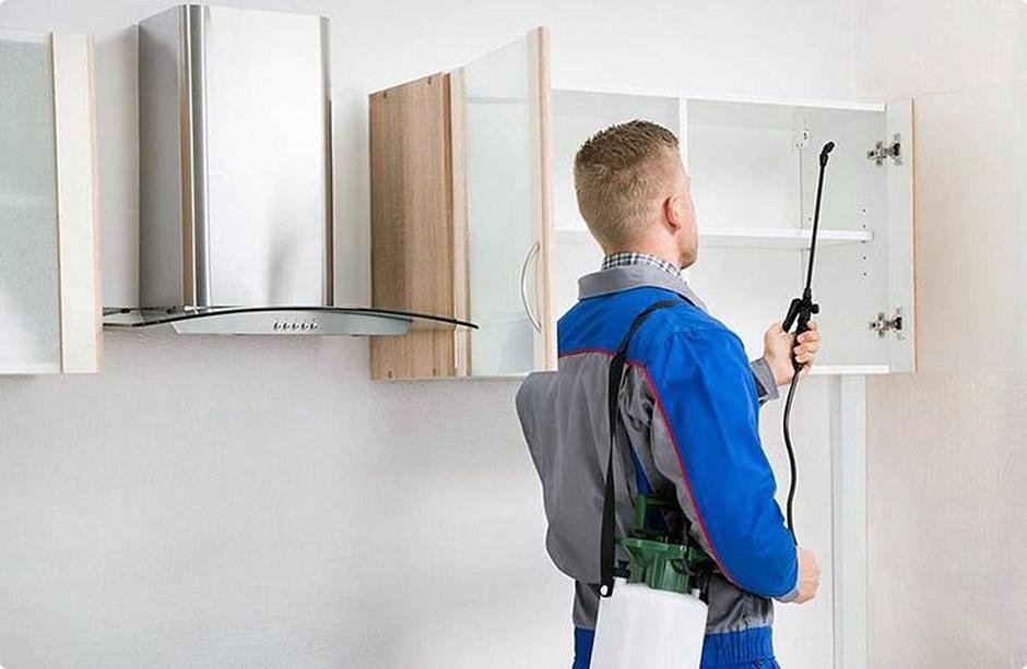 Услуга по дезинфекции жилых помещений фото 1