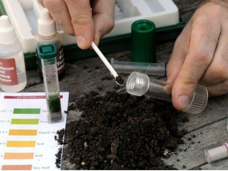 Услуга определение РН растворов почвы от Техарохим фото 1