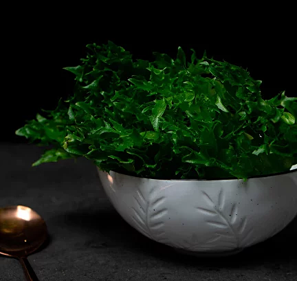 Салатник керамический Billibarri «Foliage» 16 см, белый ОПТ фото 2