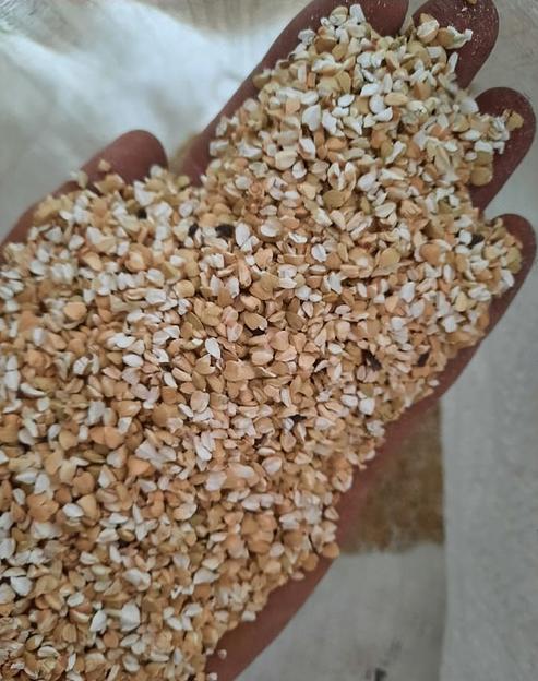 Продел зелёной гречки опт фото 2