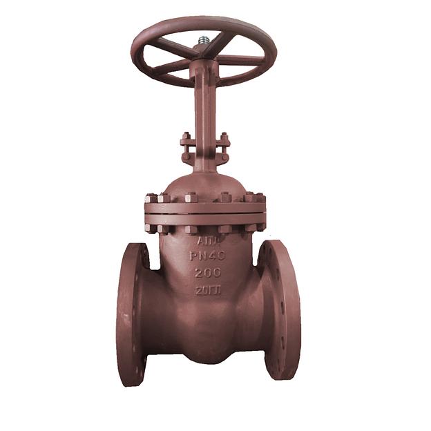 Задвижка клиновая 30лс15нж ДУ200 Ру40 фото 1