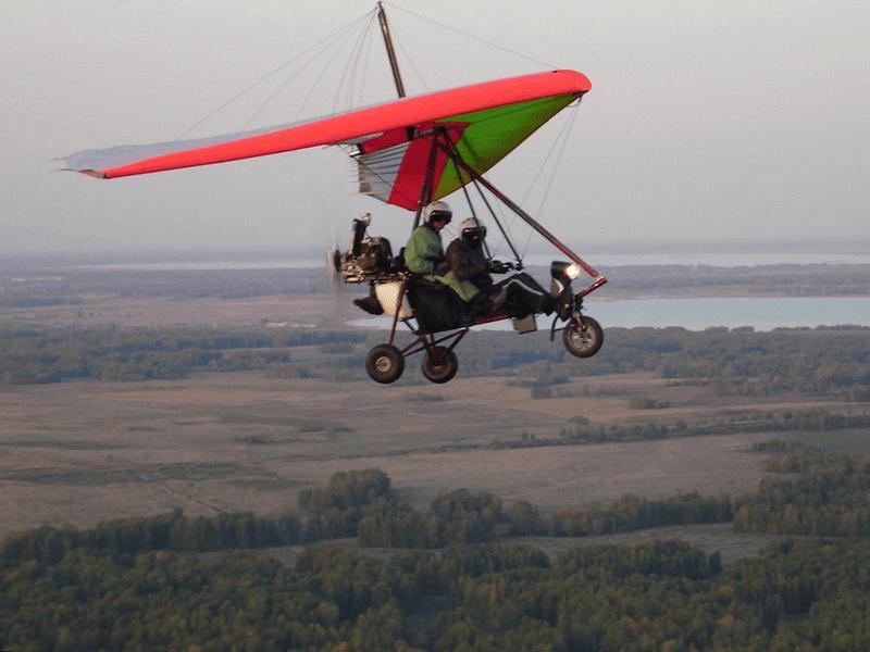 Крылья «Стимул-17» фото 1