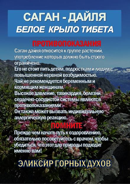 Фиточай Джиаогулан. Гинестемма пятилистная. Южный женьшень. фото 1