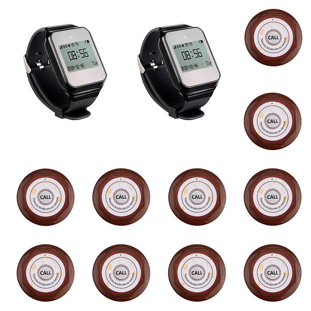 Система вызова из 2-х часов и 10-ти кнопок SWB27-1 фото 1