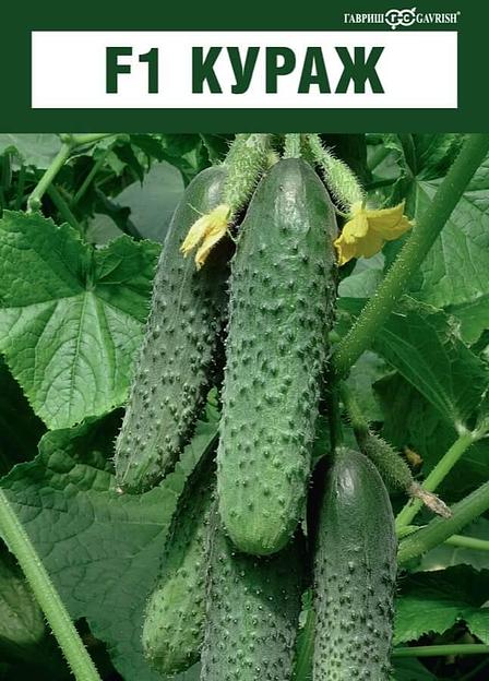 Семена огурца «F1 Кураж» опт фото 1