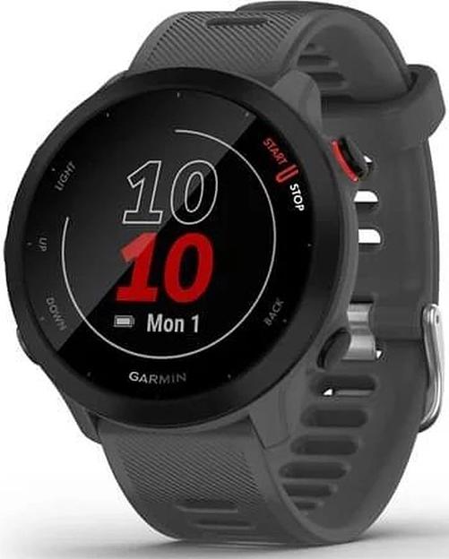 Смарт-часы Garmin Forerunner 55 серый 42мм фото 1