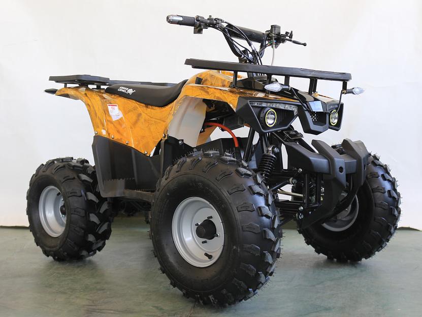 Квадроцикл GreenCamel Атакама T240 золотая осень (48V 1000W R8 Дифференциал) пониженная фото 6
