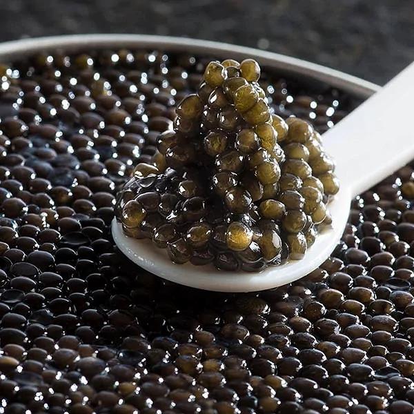 Икра чёрная стерляжья пастеризованная 50 г ОПТ фото 1