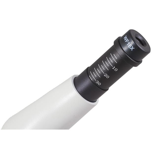  Микроскоп Levenhuk Rainbow D50L PLUS, 2 Мпикс, MoonstoneЛунный камень > фото 8