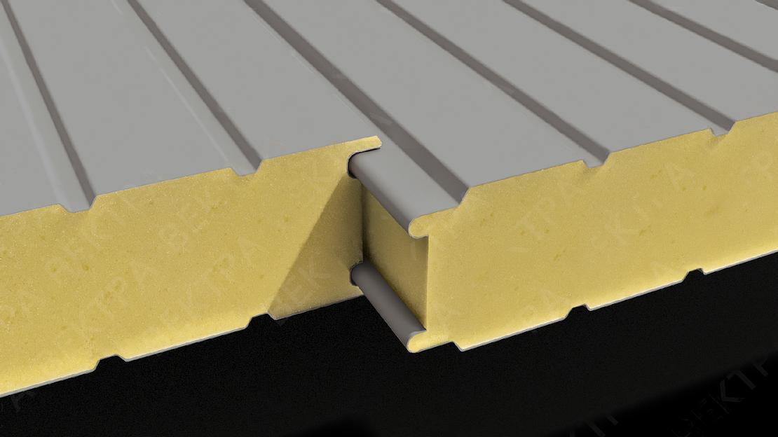 Стеновая сэндвич-панель PUR/PIR 100 мм фото 1