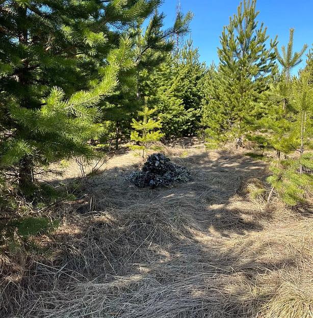 Сетчатый маскировочный зелёный костюм «Сумрак-Z» фото 9