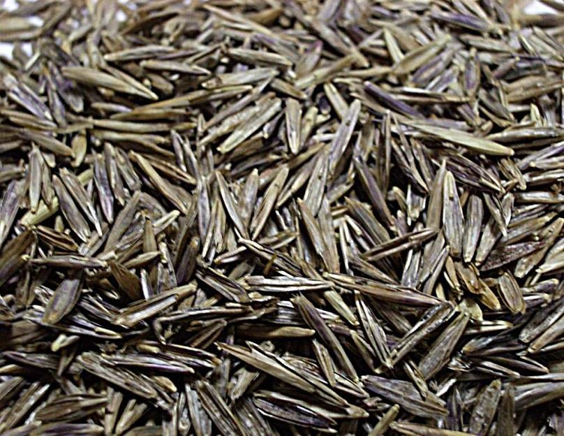 Семена костреца безостого фото 1