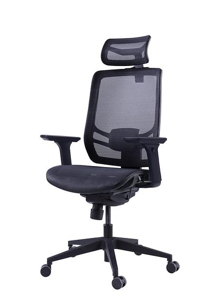 Премиум эргономичное кресло GT Chair InFlex M, черный фото 1