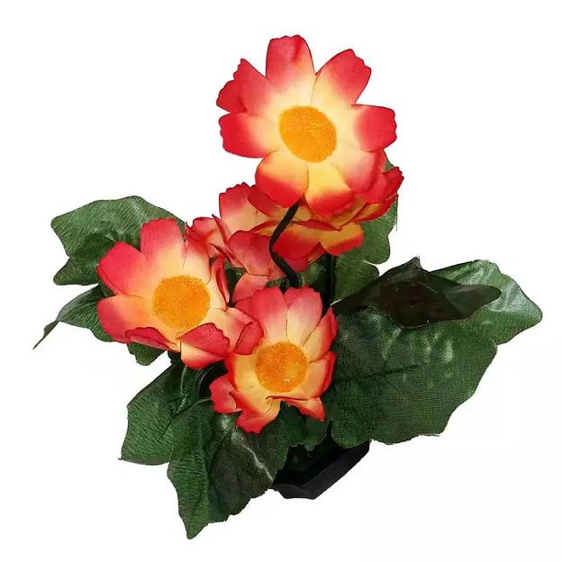 Цветы в горшке 5 ромашек с густой листвой фото 2