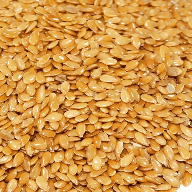 Лён золотистый (белый, масляничный) семена ОПТ  фото 1