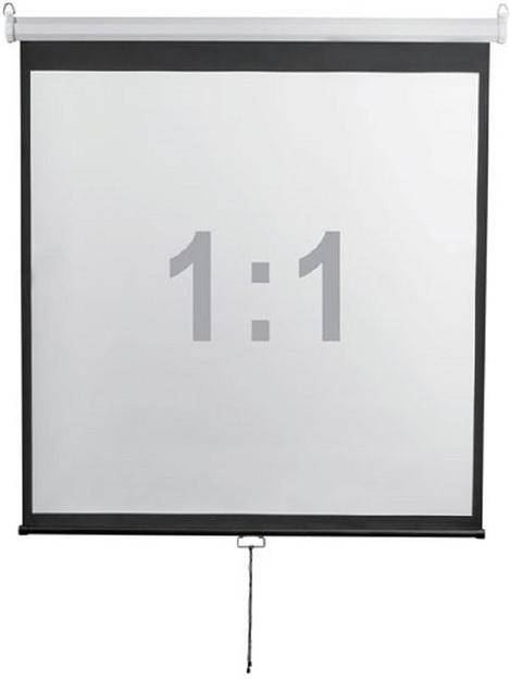 Экран 240x240см Digis Optimal-D DSOD-1107 1:1 настенно-потолочный рулонный фото 2