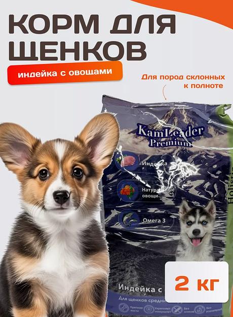 Корм для щенков KamLeader «Holistic Индейка с овощами» 2 кг фото 1