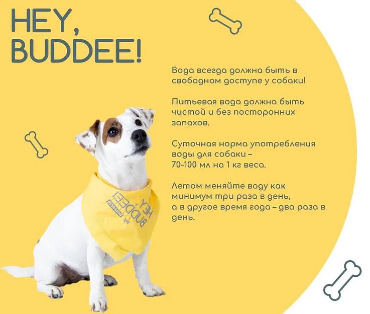 Сухой полнорационный корм для собак средних пород, 20 кг фото 7