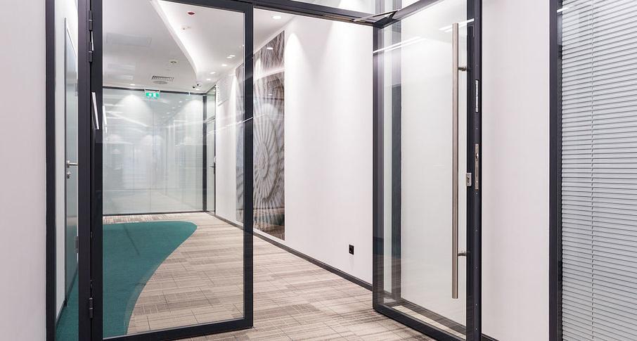 Двери NAYADA стеклянные Intero N под заказ фото 3