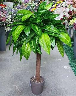 Искусственные растения - Кашпо «Фикус» ОПТ фото 1