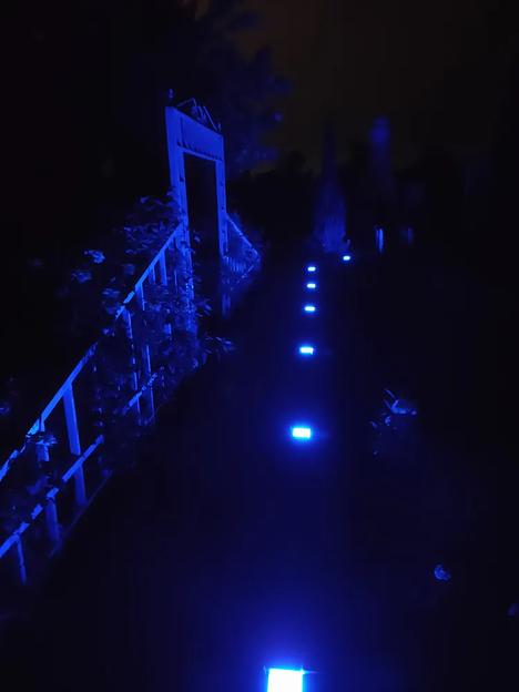 Набор уличных светодиодных Led тротуарных светильников для брусчатки из 2х шт., 100х100 мм, синий фото 3