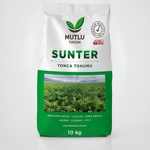 Семена люцерны «Сунтер» фото 1