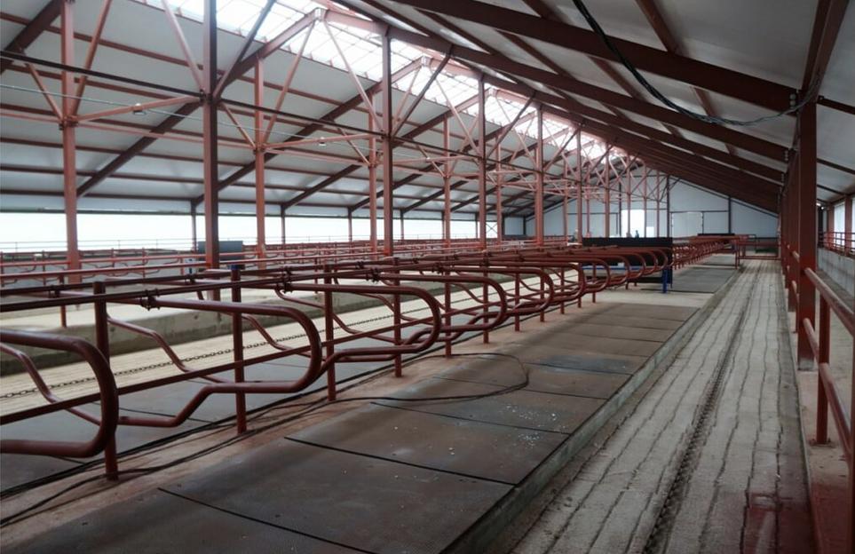 Услуга строительства ферм от 200 и более голов КРС фото 2