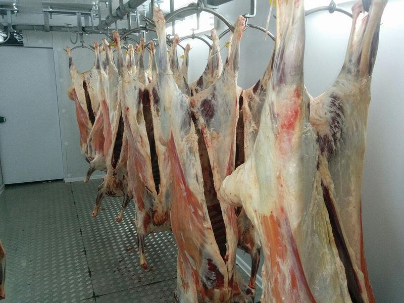 Мини бойня мелкого рогатого скота Мила фото 4