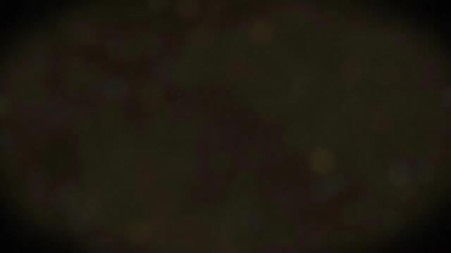 Куттер ДВАК К-125 открытый фото 8