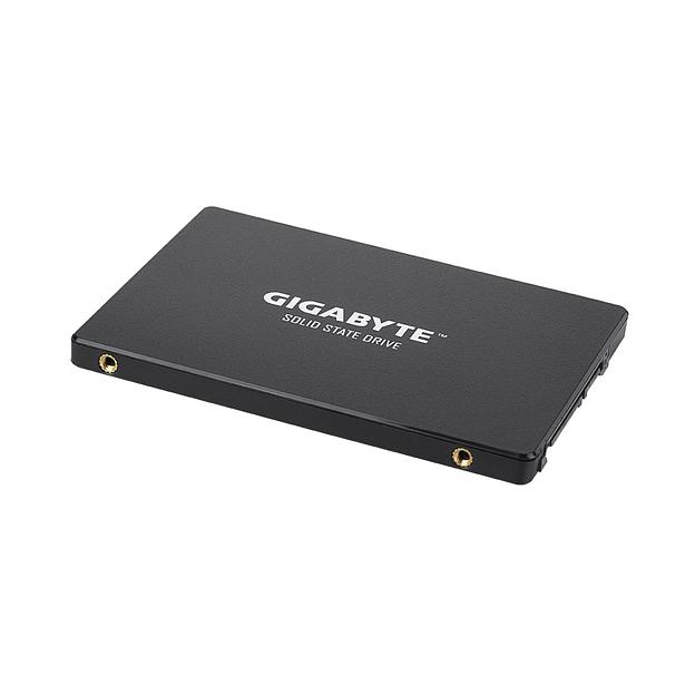 Твердотельный накопитель SSD  Gigabyte  GP-GSTFS31256GTND (4719331804329)  256GB фото 2