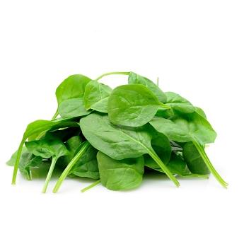 Свежая зелень «Шпинат», опт фото 1