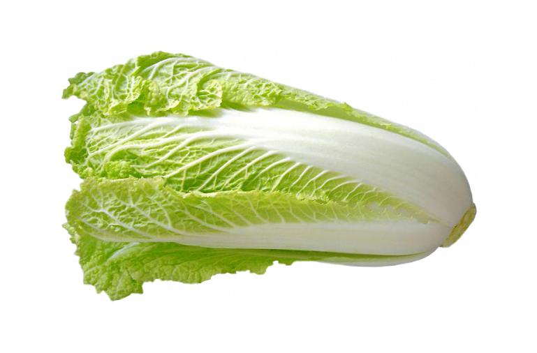 Капуста Пекинская свежая фото 1