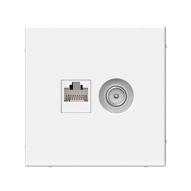 ARTGALLERY розетка двойная ТВ + компьютерная RJ45, кат. 5Е, белый фото 1