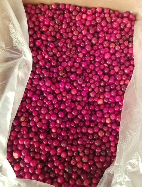 Клюква дикая замороженная электронной очистки Россия опт фото 2