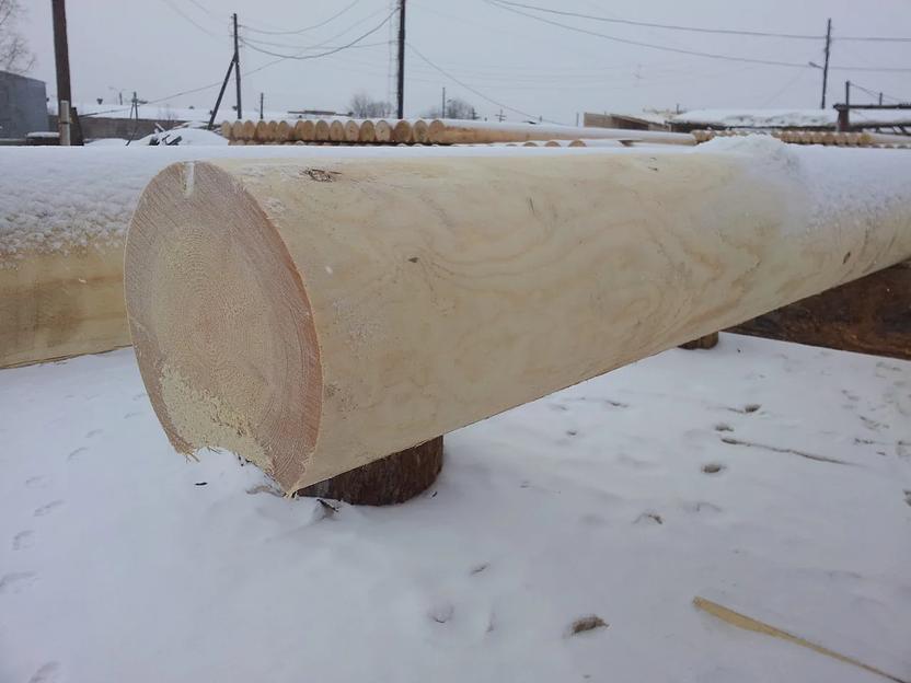 Оцилиндрованное бревно ОПТ фото 2