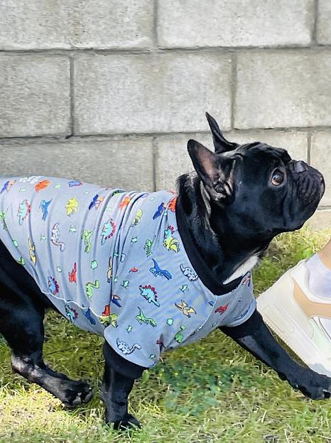 Одежда для животных Аtiarella Рets толстовка без капюшона, размер 26, опт фото 3