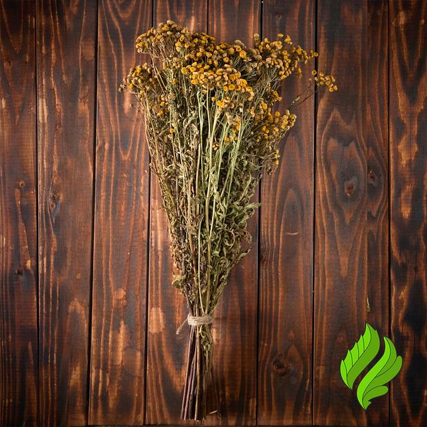 Сбор трав «Пижма» для бани опт фото 1