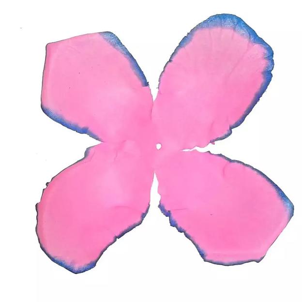 Заг-ка для розы YZ-3 розовой с син.кантом 1-й сл. 4-кон. 12-14см 1232шт/кг фото 1