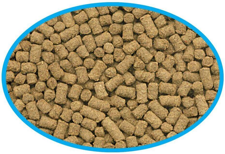 Корм для собак ОПТ фото 1