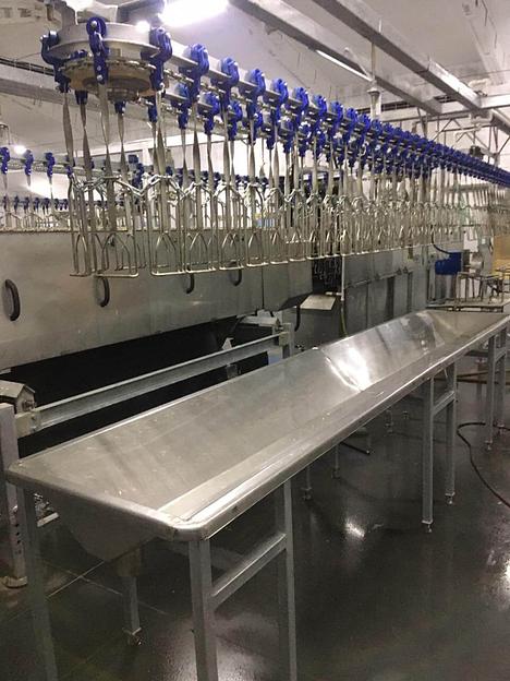 Ванна сбора крови убитой птицы ВИ-1025 фото 1