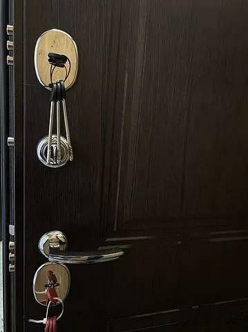 Дверь входная металлическая опт фото 1