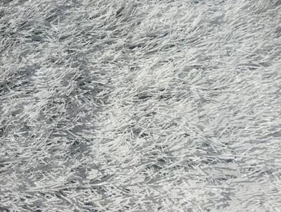 Искусственный газон белый, 40 мм, ширина рулона 4 м ОПТ фото 1