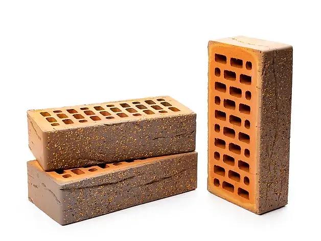 Кирпич Тайга «Борус» кора дуба 1-НФ опт фото 2