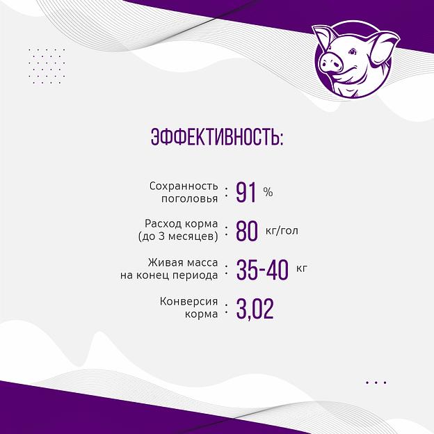 Полнорационный комбикорм для поросят «УБОЙНЫЙ КОРМ» фото 6