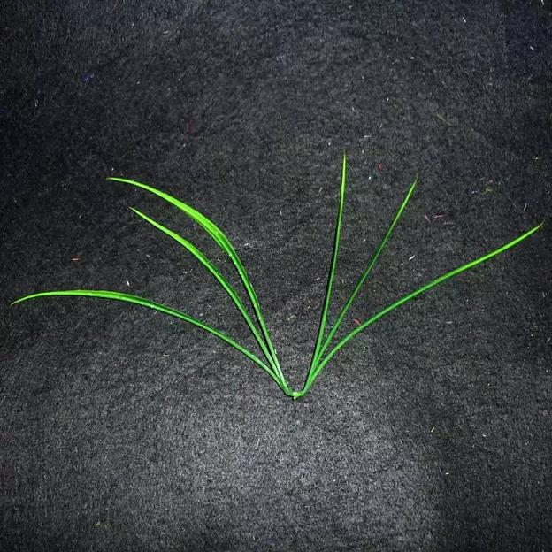 Добавка на ветку травка 15см 540шт/кг фото 1