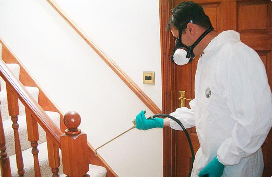 Услуга по комплексной дезинфекции домов и коттеджей фото 1