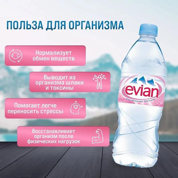 Вода минеральная негазированная Evian 1 л, 6 шт ОПТ фото 2